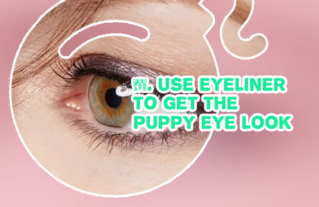 Brown eyeshadow eyeliner