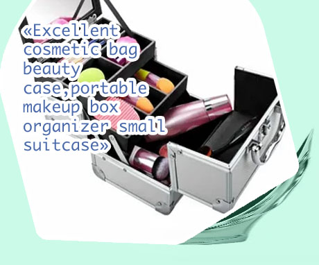 Makeup case organizer